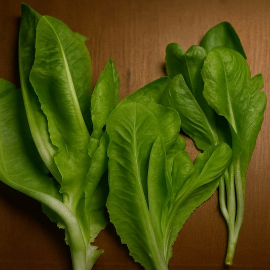 Romaine Lettuce - 200 grams